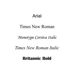 Levenger 250 Personalized Wallet Cards, Horizontal Ruled New