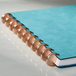 Levenger Aluminum Circa Notebook Discs (set of 11) Outlet