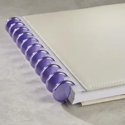 Levenger Aluminum Circa Notebook Discs (set of 11) Outlet