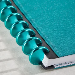 Levenger Aluminum Circa Notebook Discs (set of 11) Outlet