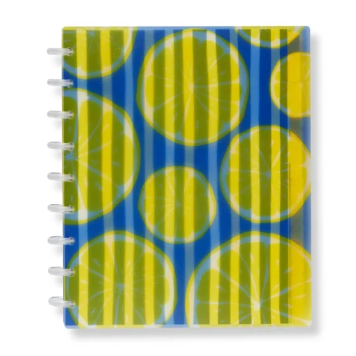 Levenger Circa Lemonade Weekly/Monthly Undated Agenda Notebook Best