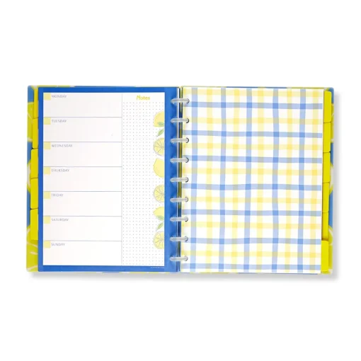 Levenger Circa Lemonade Weekly/Monthly Undated Agenda Notebook Best