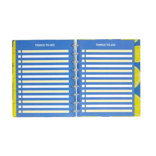 Levenger Circa Lemonade Weekly/Monthly Undated Agenda Notebook Best