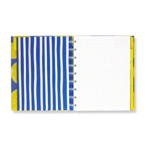 Levenger Circa Lemonade Weekly/Monthly Undated Agenda Notebook Best