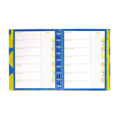 Levenger Circa Lemonade Weekly/Monthly Undated Agenda Notebook Best