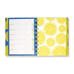 Levenger Circa Lemonade Weekly/Monthly Undated Agenda Notebook Best