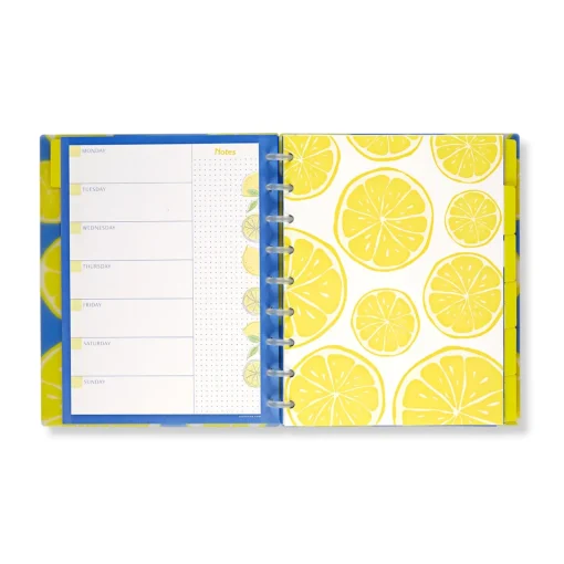 Levenger Circa Lemonade Weekly/Monthly Undated Agenda Notebook Best