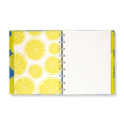 Levenger Circa Lemonade Weekly/Monthly Undated Agenda Notebook Best