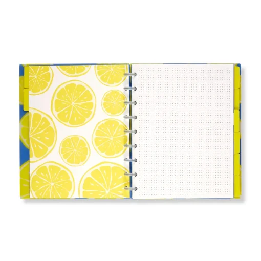 Levenger Circa Lemonade Weekly/Monthly Undated Agenda Notebook Best