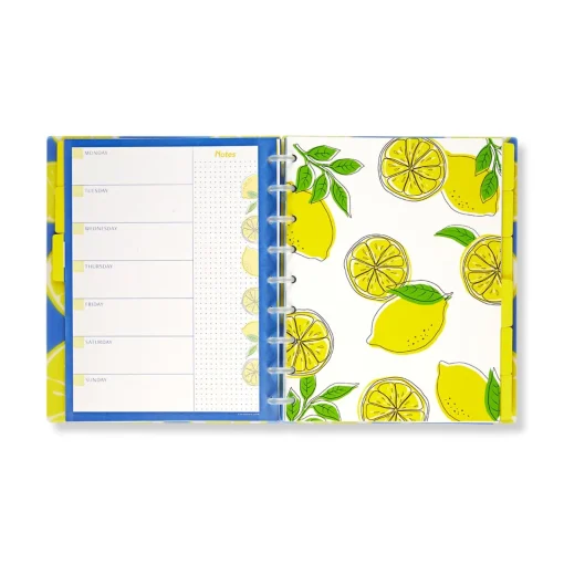Levenger Circa Lemonade Weekly/Monthly Undated Agenda Notebook Best