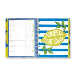 Levenger Circa Lemonade Weekly/Monthly Undated Agenda Notebook Best