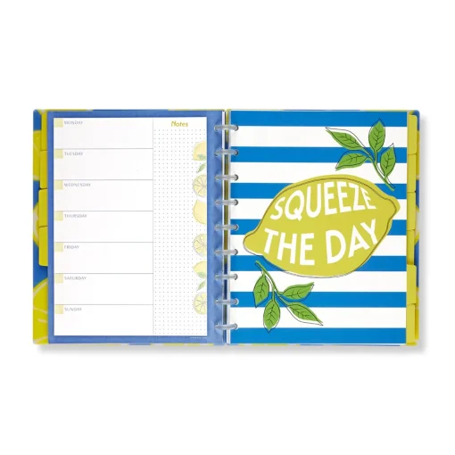 Levenger Circa Lemonade Weekly/Monthly Undated Agenda Notebook Best