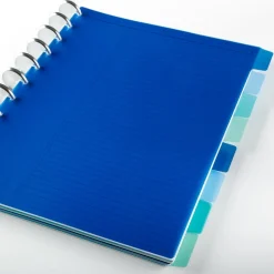 Levenger Circa Sea and Sky Discbound Notebook Dividers (set of 8) Best