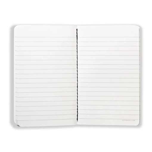 Levenger Elements True Notes (set of 4) Outlet