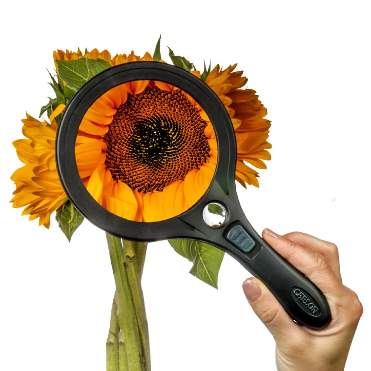 Levenger Handheld Large LED Magnifier Black Discount