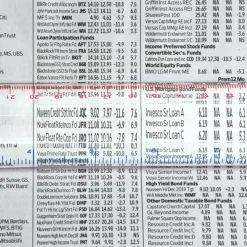 Levenger Magnifier Ruler Clear / Translucent Outlet