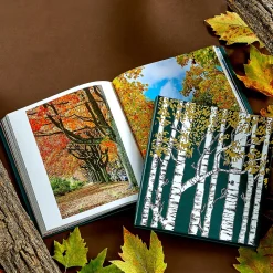 Levenger The Hidden Life of Trees Leather Bound Edition Hot
