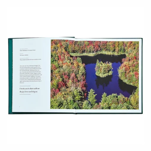 Levenger The Hidden Life of Trees Leather Bound Edition Hot