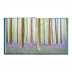 Levenger The Hidden Life of Trees Leather Bound Edition Hot