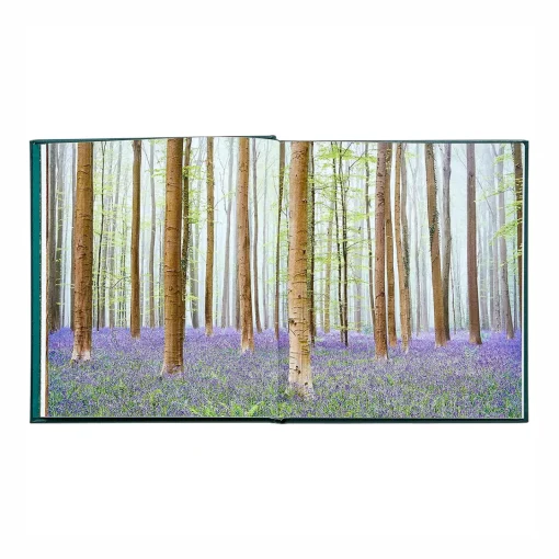 Levenger The Hidden Life of Trees Leather Bound Edition Hot
