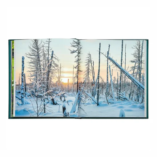 Levenger The Hidden Life of Trees Leather Bound Edition Hot