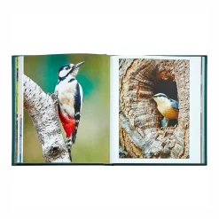 Levenger The Hidden Life of Trees Leather Bound Edition Hot