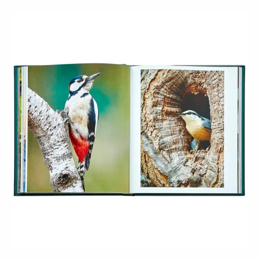 Levenger The Hidden Life of Trees Leather Bound Edition Hot