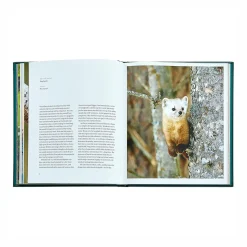 Levenger The Hidden Life of Trees Leather Bound Edition Hot