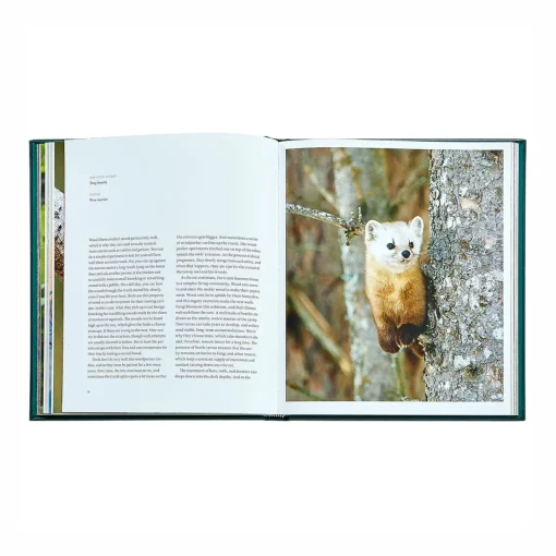 Levenger The Hidden Life of Trees Leather Bound Edition Hot