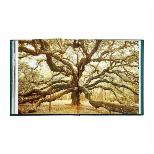 Levenger The Hidden Life of Trees Leather Bound Edition Hot